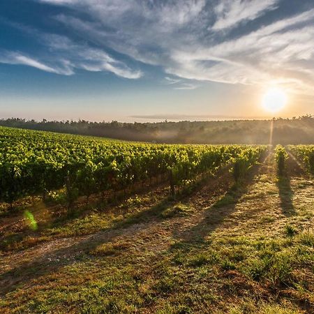 Il Palco Montepulciano, Vista Incredibile, 150Mt Da Piazza Grande Leilighet Eksteriør bilde