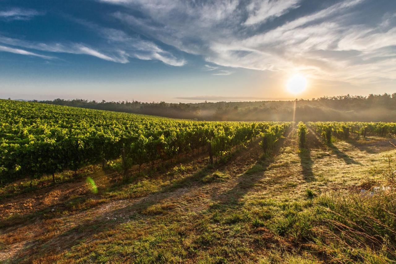Il Palco Montepulciano, Vista Incredibile, 150Mt Da Piazza Grande Leilighet Eksteriør bilde